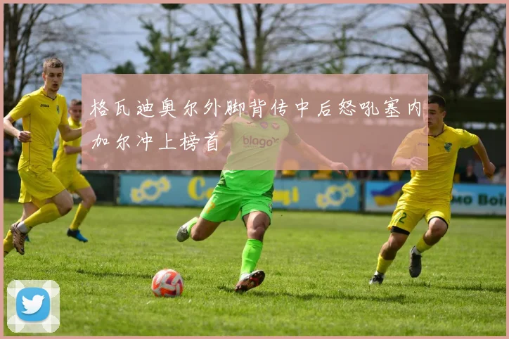 格瓦迪奥尔外脚背传中后怒吼塞内加尔冲上榜首