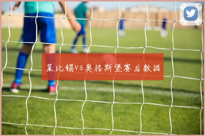 莱比锡vs奥格斯堡赛后数据