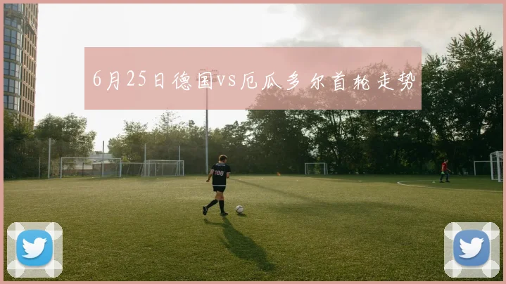 6月25日德国vs厄瓜多尔首轮走势