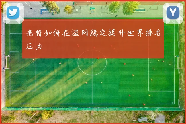 老将如何在温网稳定提升世界排名压力