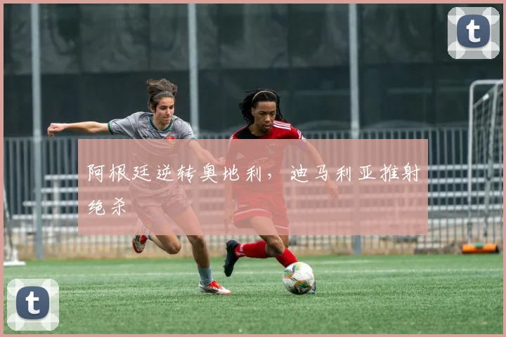 阿根廷逆转奥地利，迪马利亚推射绝杀
