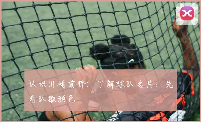 认识川崎前锋：了解球队名片，先看队徽颜色