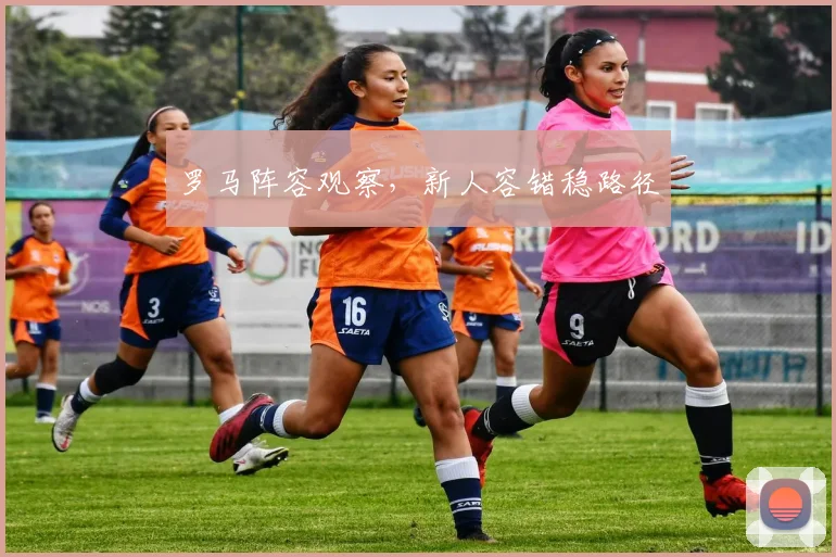 罗马阵容观察，新人容错稳路径
